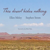 bokomslag This Desert Hides Nothing: Selections from the Work of Ellen Meloy with Photographs by Stephen Strom