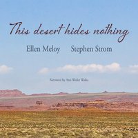 bokomslag This Desert Hides Nothing: Selections from the Work of Ellen Meloy with Photographs by Stephen Strom