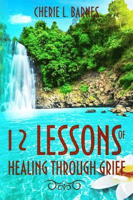 bokomslag 12 Lessons of Healing Through Grief