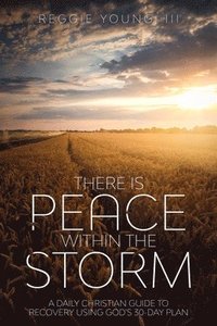 bokomslag There Is Peace Within The Storm: A Daily Christian Guide to Recovery Using God's 30-Day Plan
