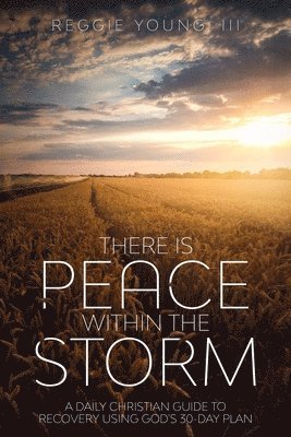 There Is Peace Within The Storm: A Daily Christian Guide to Recovery Using God's 30-Day Plan 1