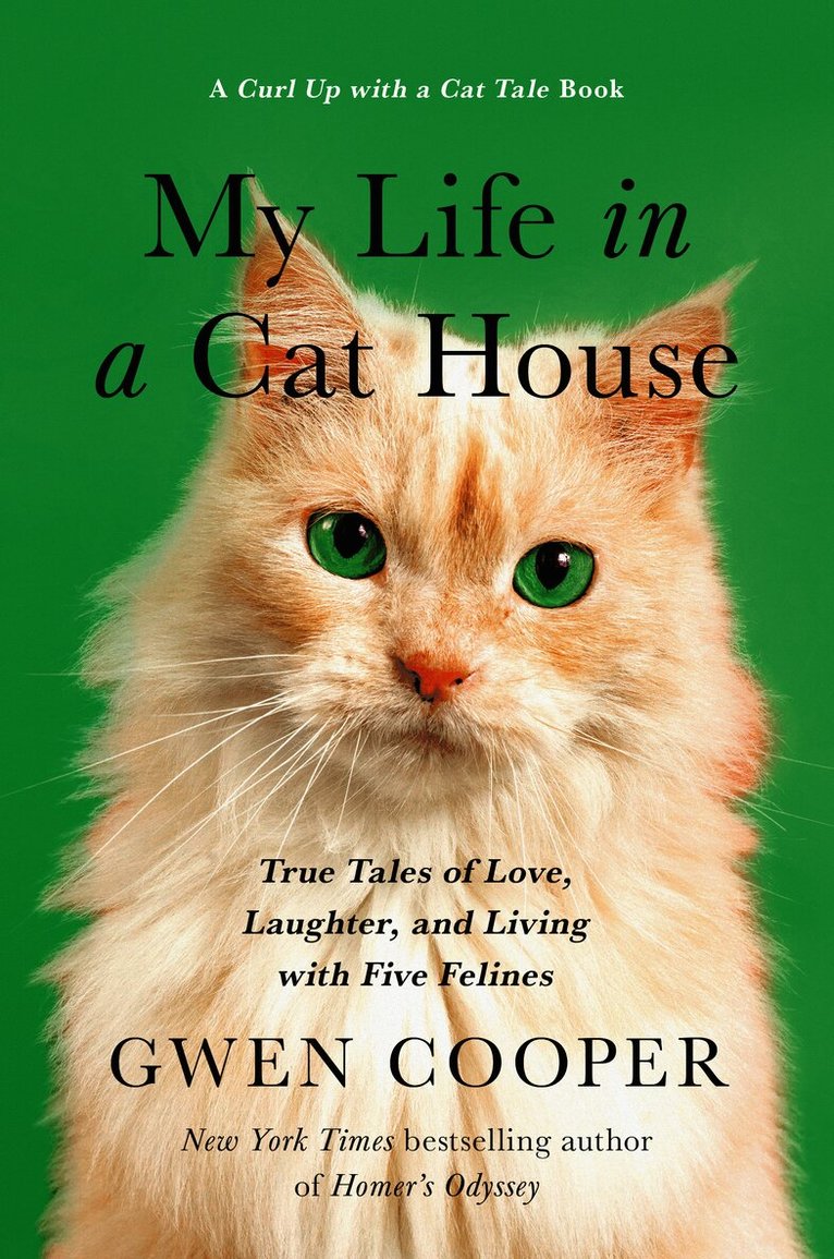 My Life in the Cat House