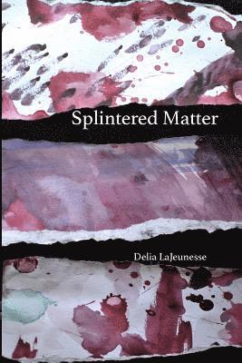 bokomslag Splintered Matter