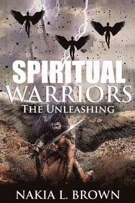 bokomslag Spiritual Warriors