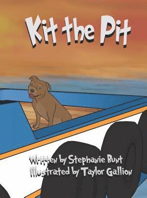 bokomslag Kit the Pit