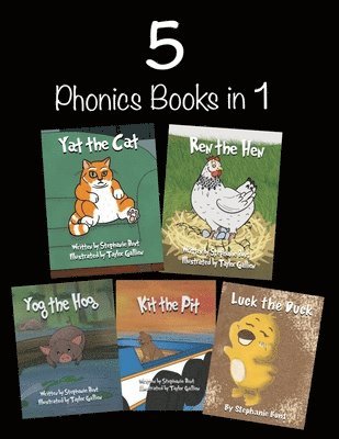 bokomslag 5 Phonics Books in 1