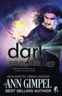 bokomslag Dark Promise