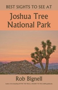 bokomslag Best Sights to See at Joshua Tree National Park