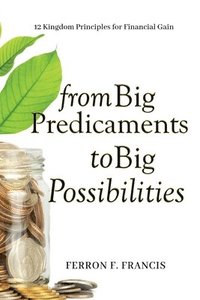 bokomslag From Big Predicaments to Big Possibilities