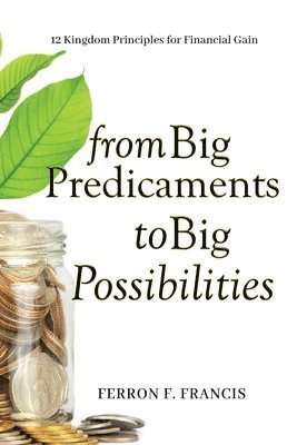 bokomslag From Big Predicaments to Big Possibilities