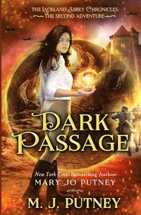 bokomslag Dark Passage