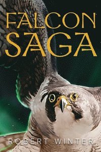 bokomslag Falconsaga