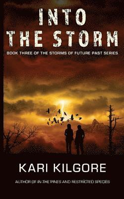 Into the Storm
