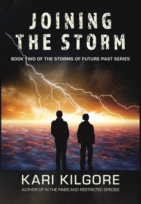 bokomslag Joining the Storm