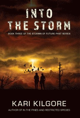 Into the Storm