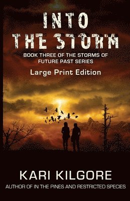 Into the Storm 1