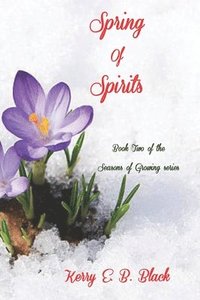 bokomslag Spring of Spirits