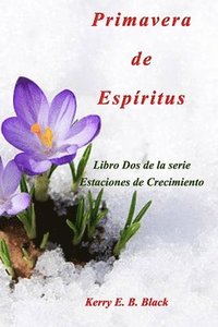 bokomslag Primavera de Espritus