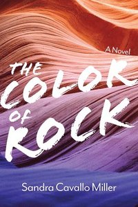 bokomslag The Color of Rock