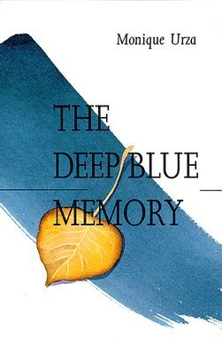 bokomslag Deep Blue Memory