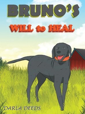 Darla Deeds - Bruno's Will to Heal, Inbunden