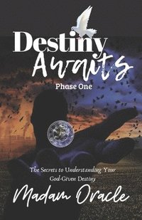 bokomslag Destiny Awaits: Phase One: The Secrets to Understanding Your God-Given Destiny