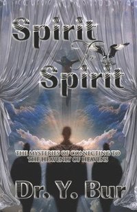 bokomslag Spirit to Spirit