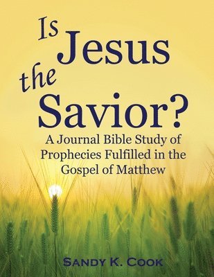 Is Jesus the Savior? 1