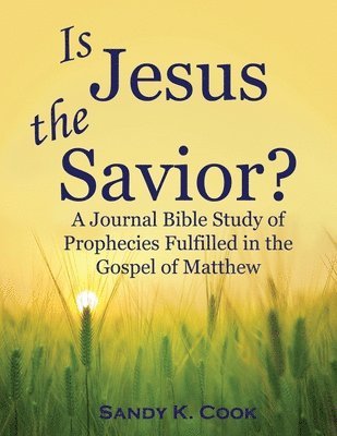 Is Jesus the Savior?