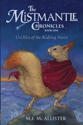bokomslag Urchin of the Riding Stars