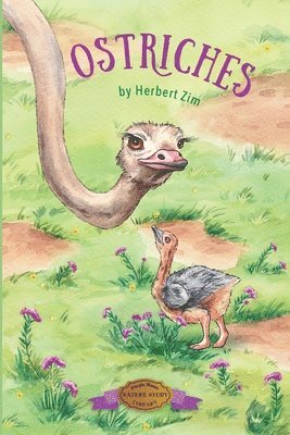 bokomslag Ostriches