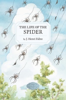 The Life of the Spider 1