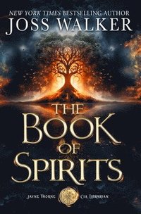 bokomslag The Book of Spirits