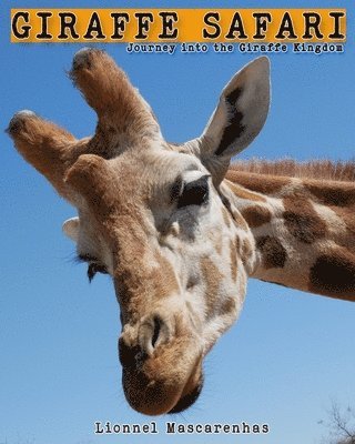 Giraffe Safari 1