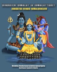 bokomslag Hindu jumalat ja jumalattaret