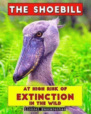 bokomslag Shoebill