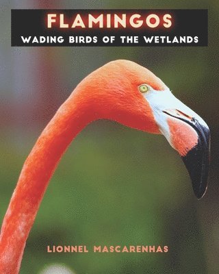 Lionnel Mascarenhas - Flamingos, Häftad