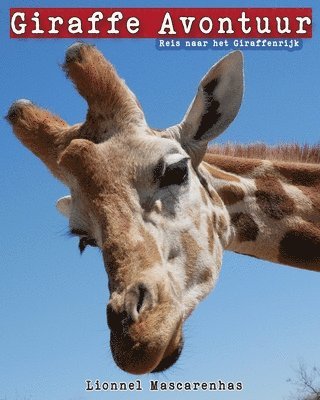 Giraffe Avontuur 1