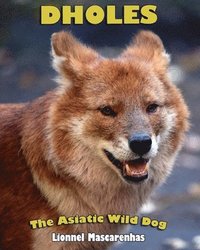 bokomslag Dholes: The Asiatic Wild Dog