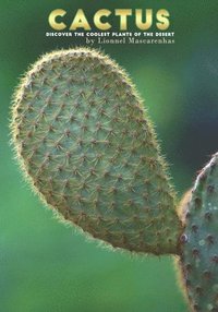 bokomslag Cactus: Discover the Coolest Plants of the Desert