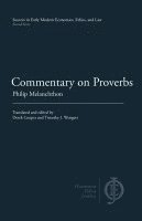 bokomslag Commentary on Proverbs