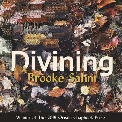 Brooke Sahni - Divining, Häftad