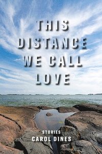 bokomslag This Distance We Call Love