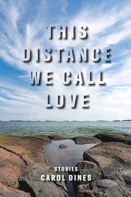 This Distance We Call Love 1