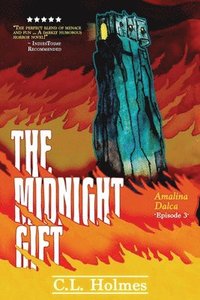 bokomslag Midnight Gift