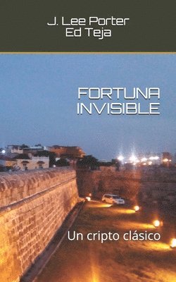 bokomslag Fortuna Invisible