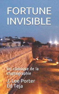bokomslag Fortune Invisible