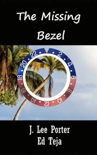 bokomslag The Missing Bezel