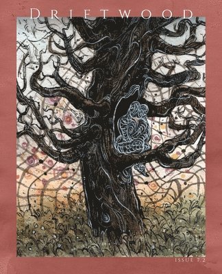 James McNulty, Jerrod Schwarz - Driftwood Press 7.2, Häftad