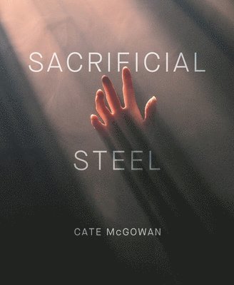 Sacrificial Steel 1